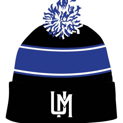 UMBC Beanie